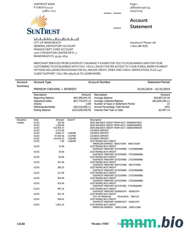 Wyciąg bankowy USA SunTrust, szablon Word i PDF, 2 strony